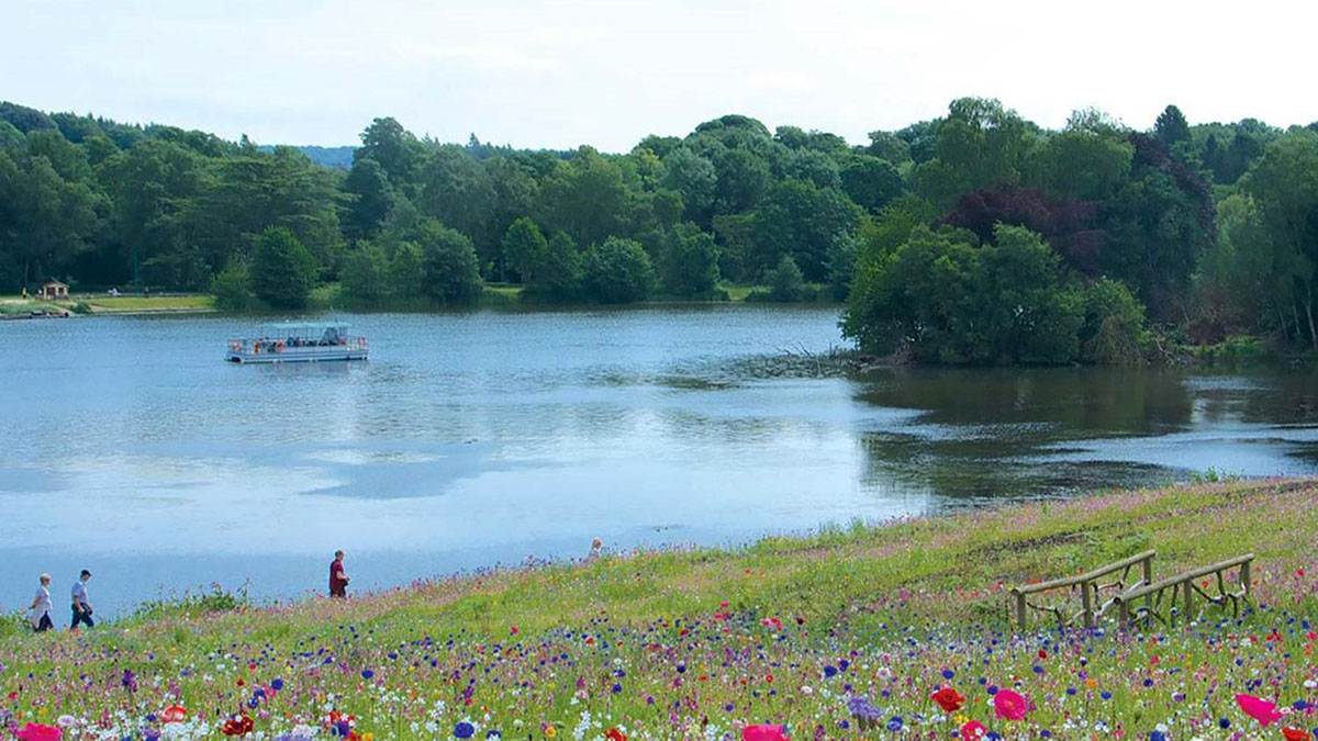 特伦瑟姆花园， 英国 Trentham Gardens, United Kingdom