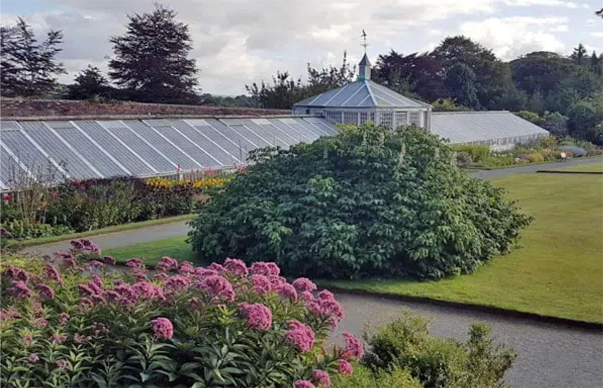 Georgian Glasshouse 格鲁吉亚温室