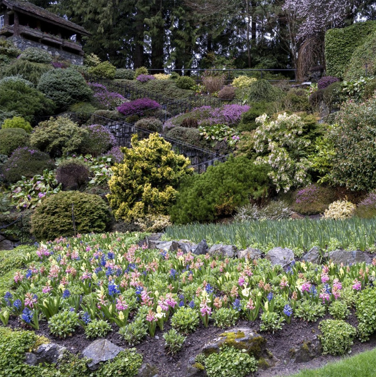 布查特花园，加拿大 The Butchart Gardens, Canada