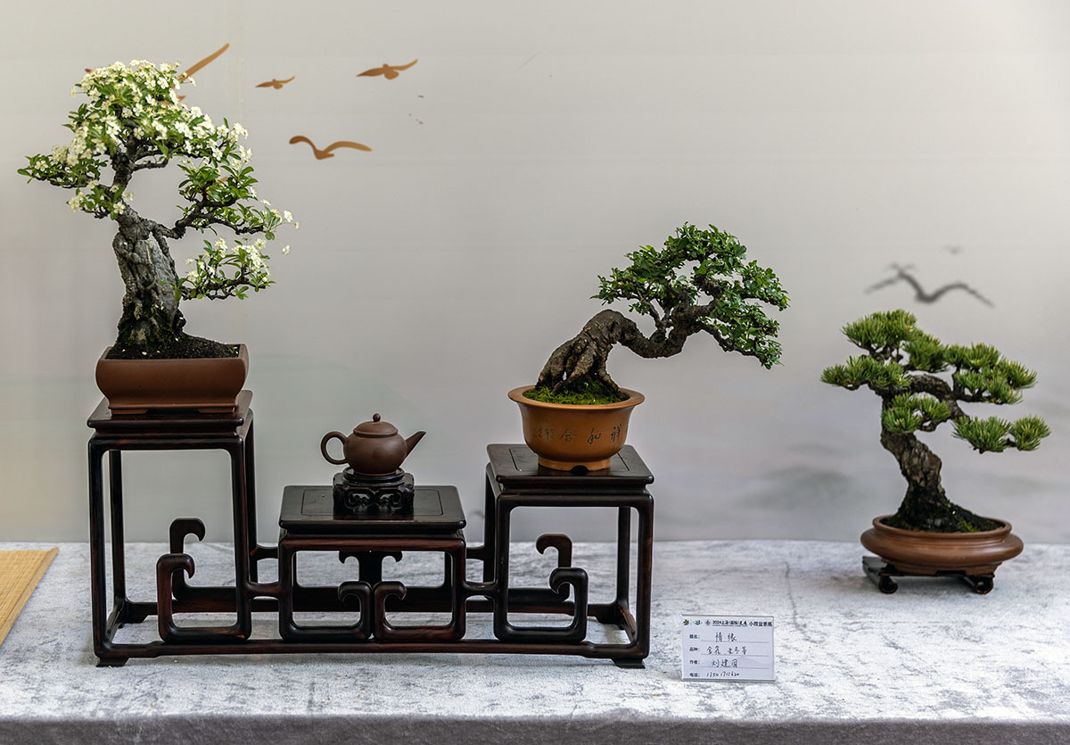 2024上海国际花展小微盆景展