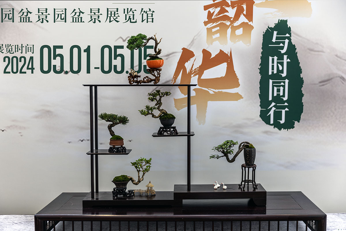 2024上海国际花展小微盆景展