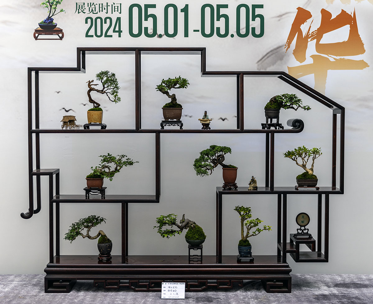 2024上海国际花展小微盆景展