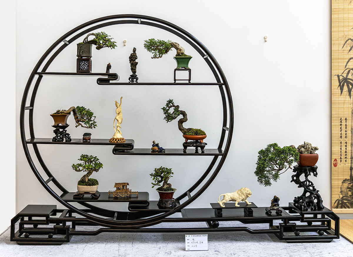 2024上海国际花展小微盆景展