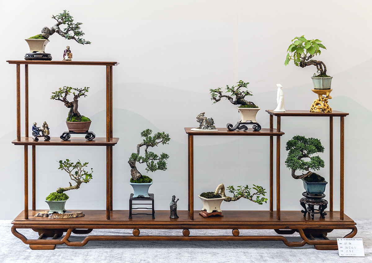 2024上海国际花展小微盆景展