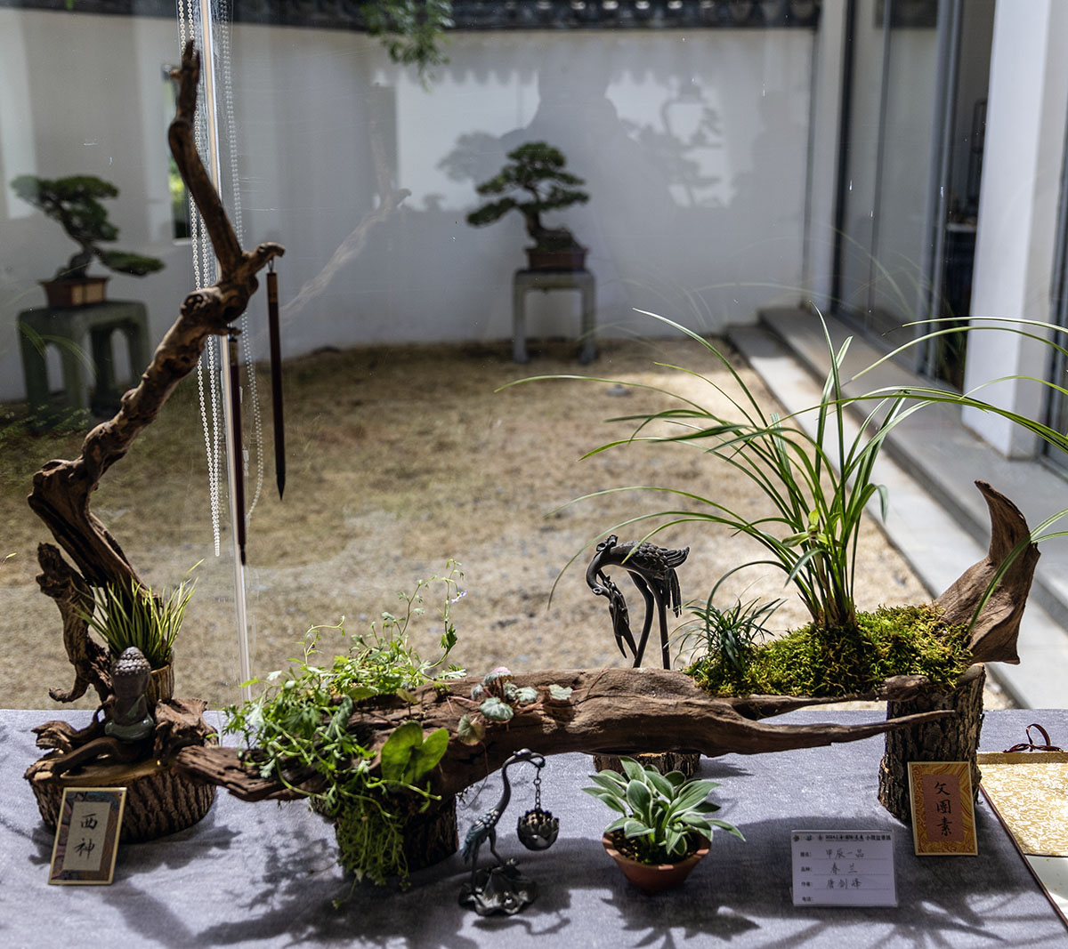 2024上海国际花展小微盆景展