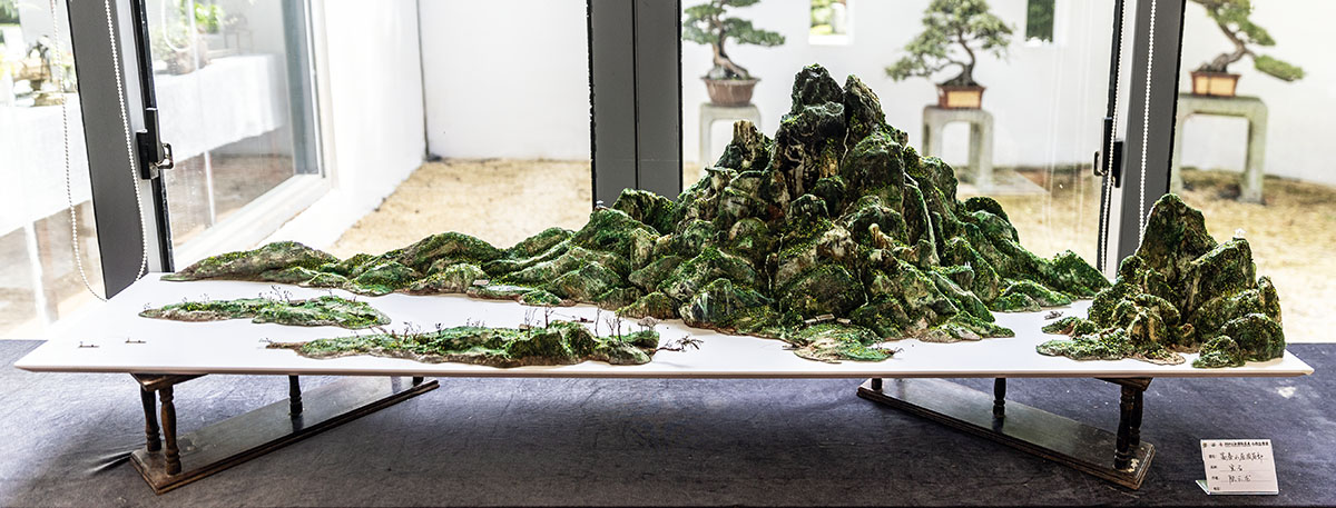 2024上海国际花展小微盆景展