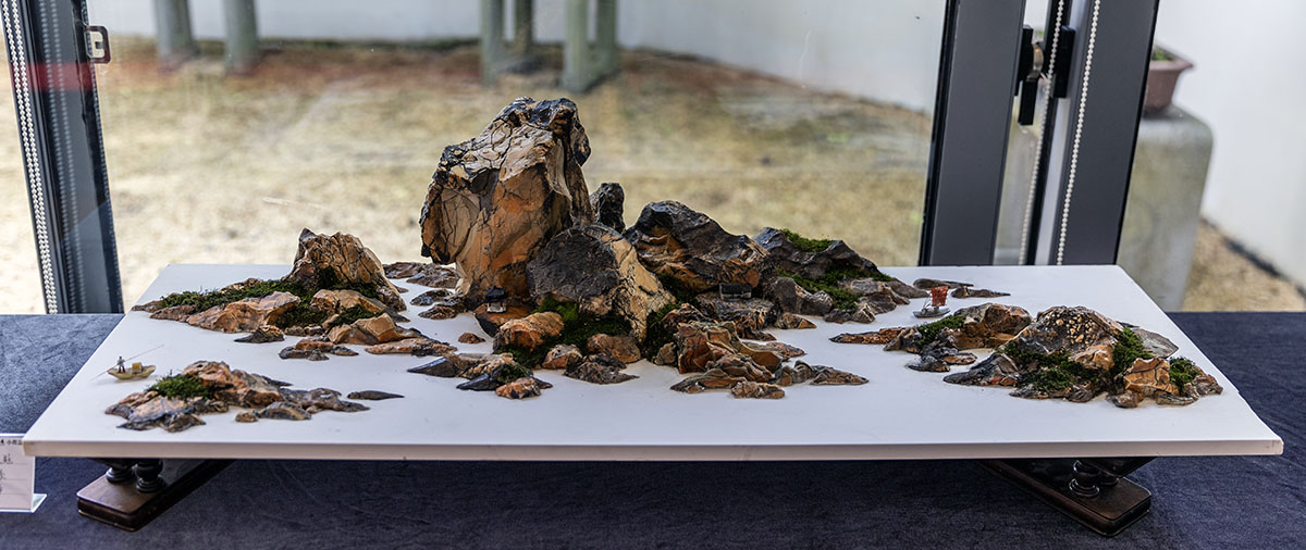 2024上海国际花展小微盆景展