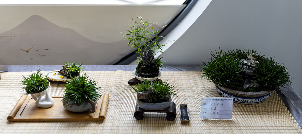 2024上海国际花展小微盆景展