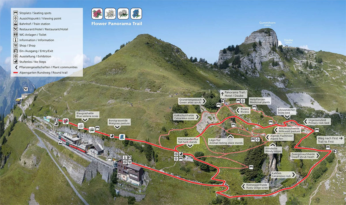 瑞士Schynige Platte高山植物园