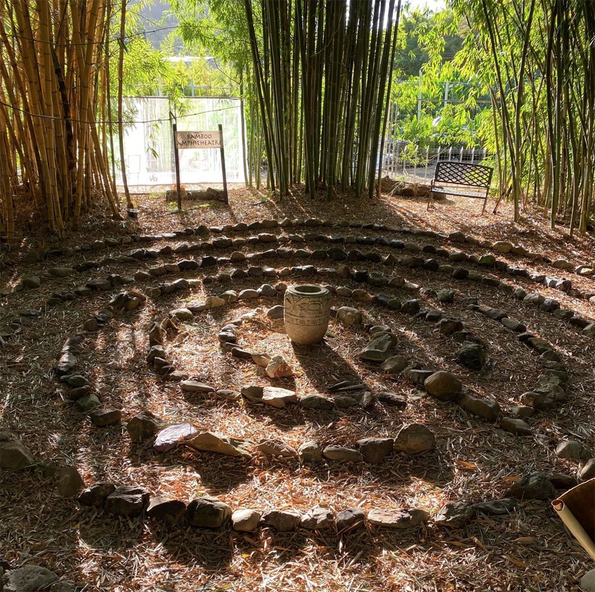 澳大利亚Bamboo Down Under竹子苗圃