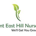 美国肯特东山苗圃Kent East Hill Nursery