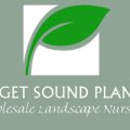 美国普吉特海湾苗圃 PUGET SOUND PLANTS