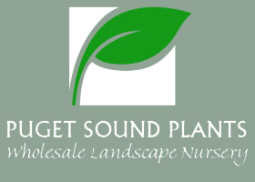 美国普吉特海湾苗圃 PUGET SOUND PLANTS