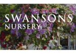 美国Swansons苗圃