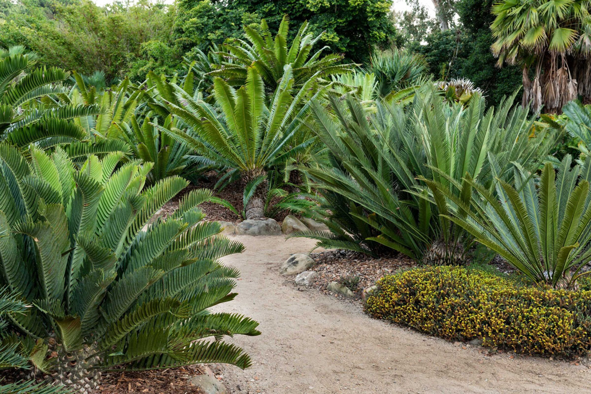 美国莲花园Ganna Walska Lotusland