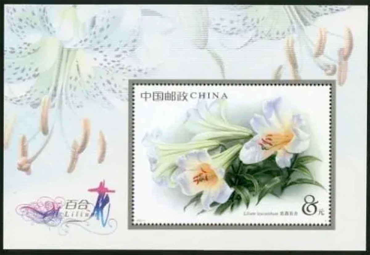 百合花