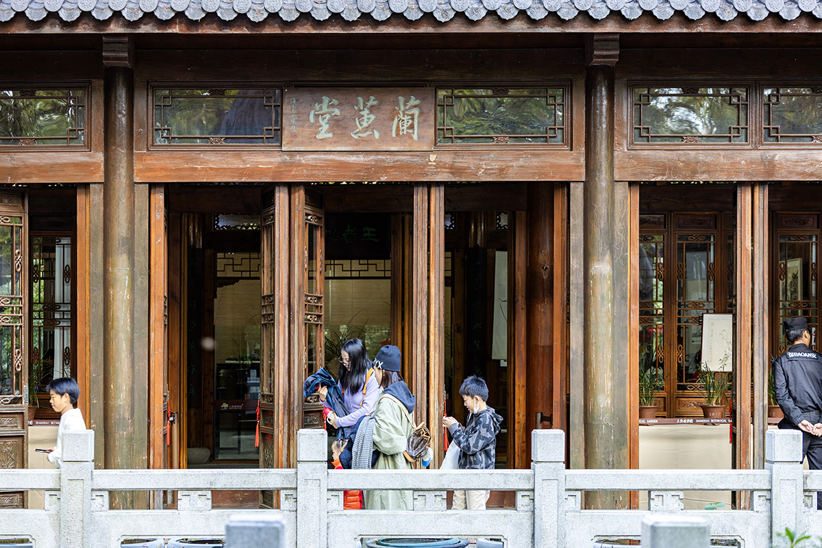 上海植物园寒兰展