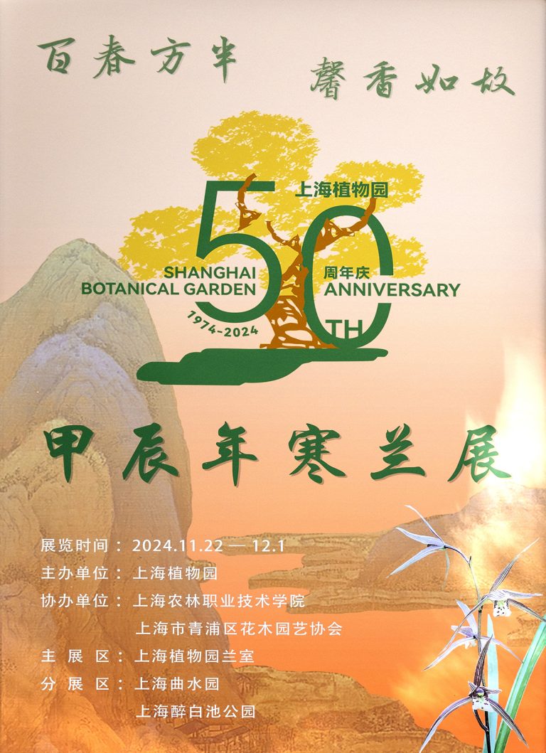 上海植物园寒兰展