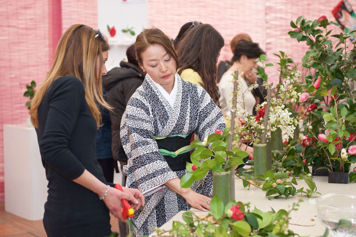 意大利卢凯西亚古山茶花展