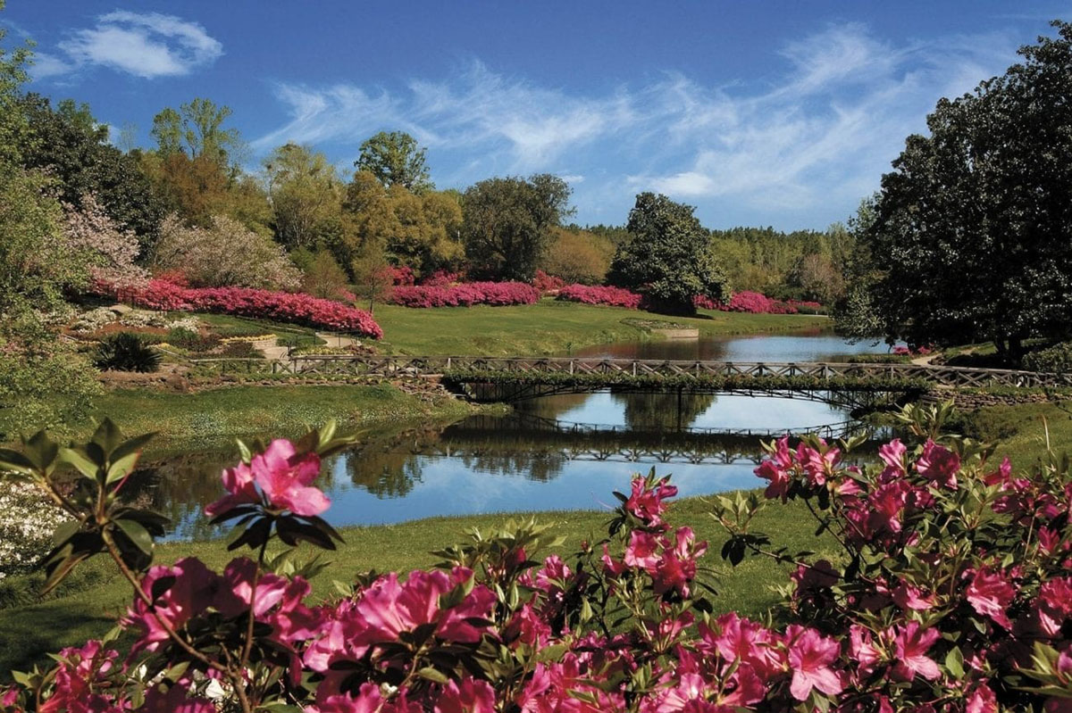美国莫比尔植物园 Mobile Botanical Gardens