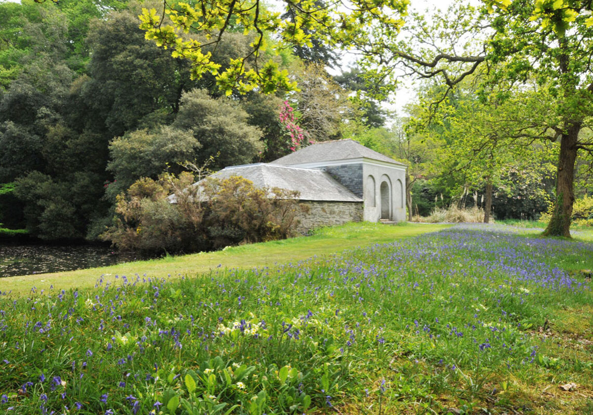 英国安东尼森林花园 Antony Woodland Garden