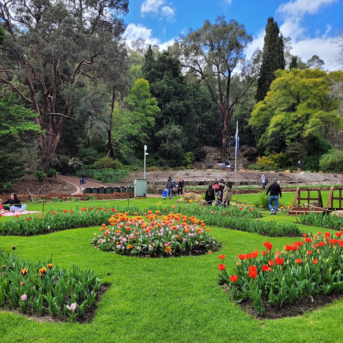 澳大利亚阿拉卢安植物园 Araluen Botanic Park
