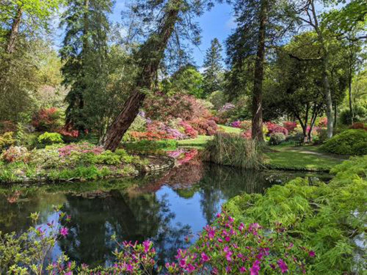 英国埃克斯伯里花园 Exbury Gardens