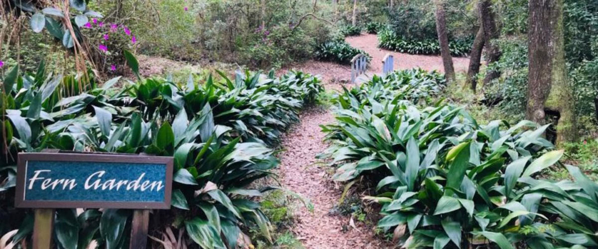 美国莫比尔植物园 Mobile Botanical Gardens