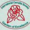 意大利Camelietum Compitese山茶花花园
