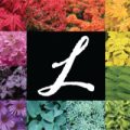 美国Loen苗圃 Loen Nursery