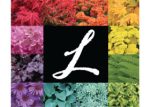 美国Loen苗圃 Loen Nursery
