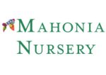 美国Mahonia苗圃