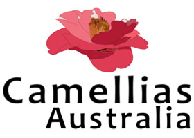 澳大利亚山茶社团 Camellias Australia Incorporated