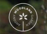 英国安东尼林地花园 Antony Woodland Garden