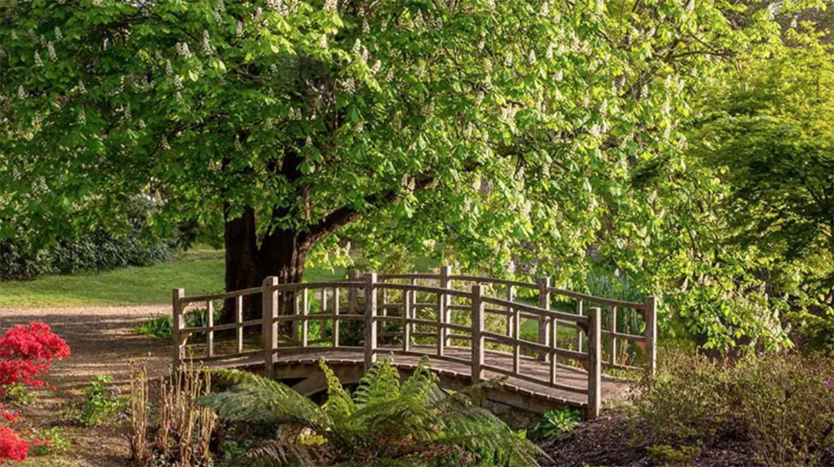 英国埃克斯伯里花园 Exbury Gardens
