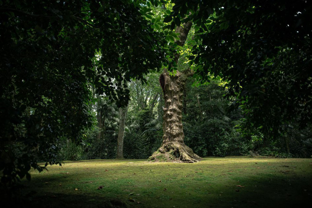 葡萄牙Parque Terra Nostra公园