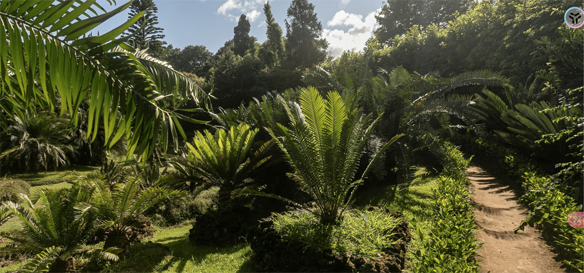 葡萄牙Parque Terra Nostra公园