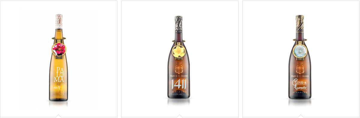 西班牙鲁比亚内斯葡萄酒庄园和山茶花园Pazo de Rubianes