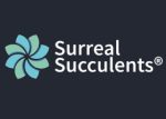 英国Surreal Succulents多肉植物苗圃