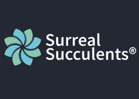 英国超现实多肉植物苗圃Surreal Succulents