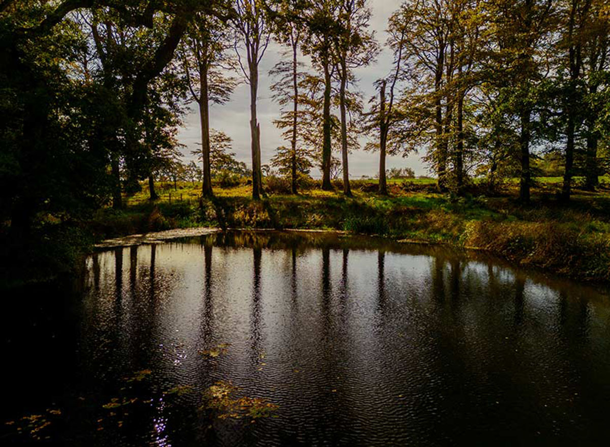 Eagle Ponds