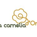 瑞士金山茶花园Golden Camellia