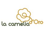瑞士金山茶花园Golden Camellia