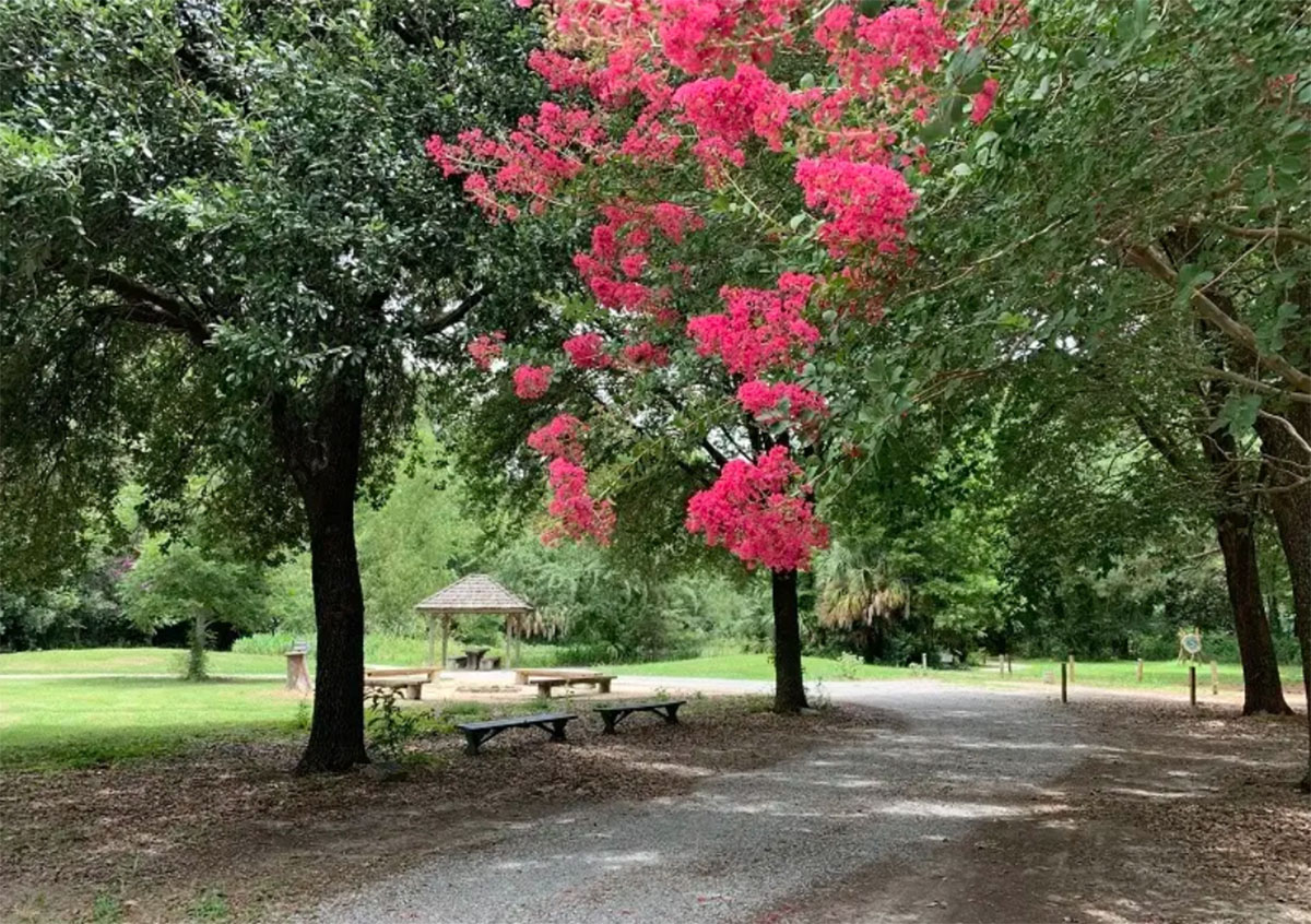 巴顿树木园（Barton Arboretum）​​