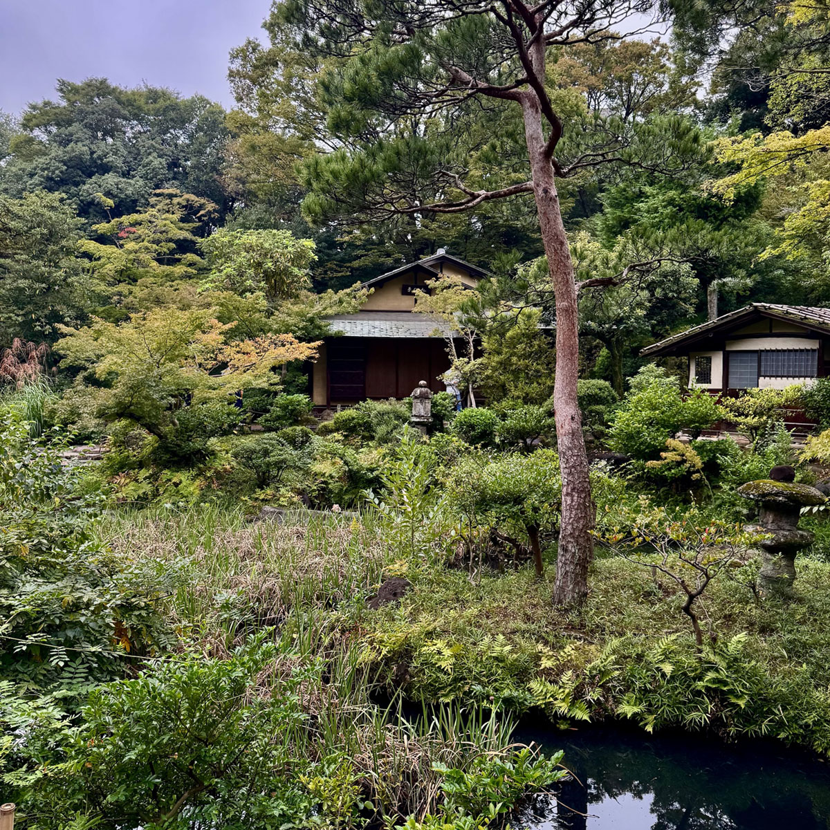 日本东京根津博物馆和花园