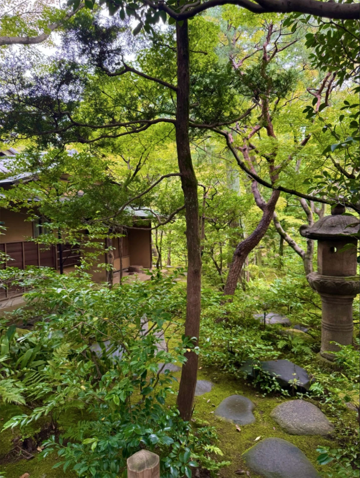 根津嘉一郎