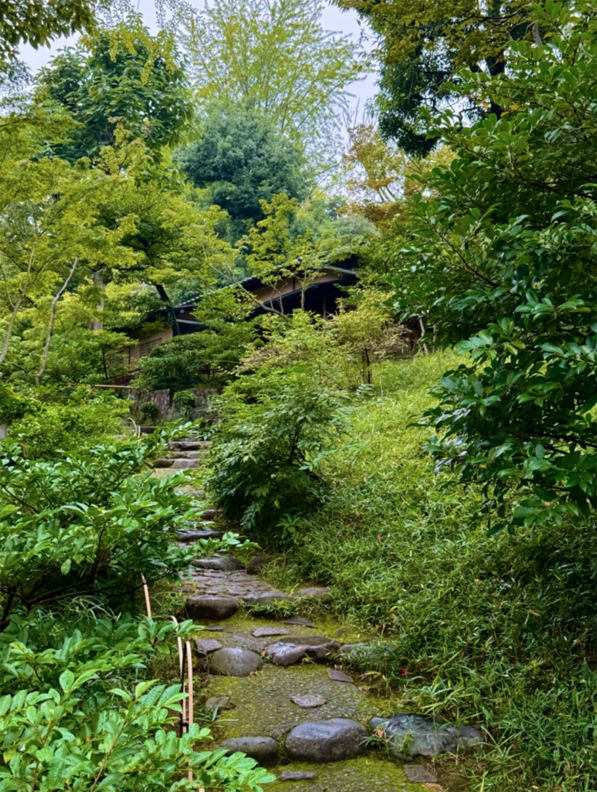 日本东京根津博物馆和花园