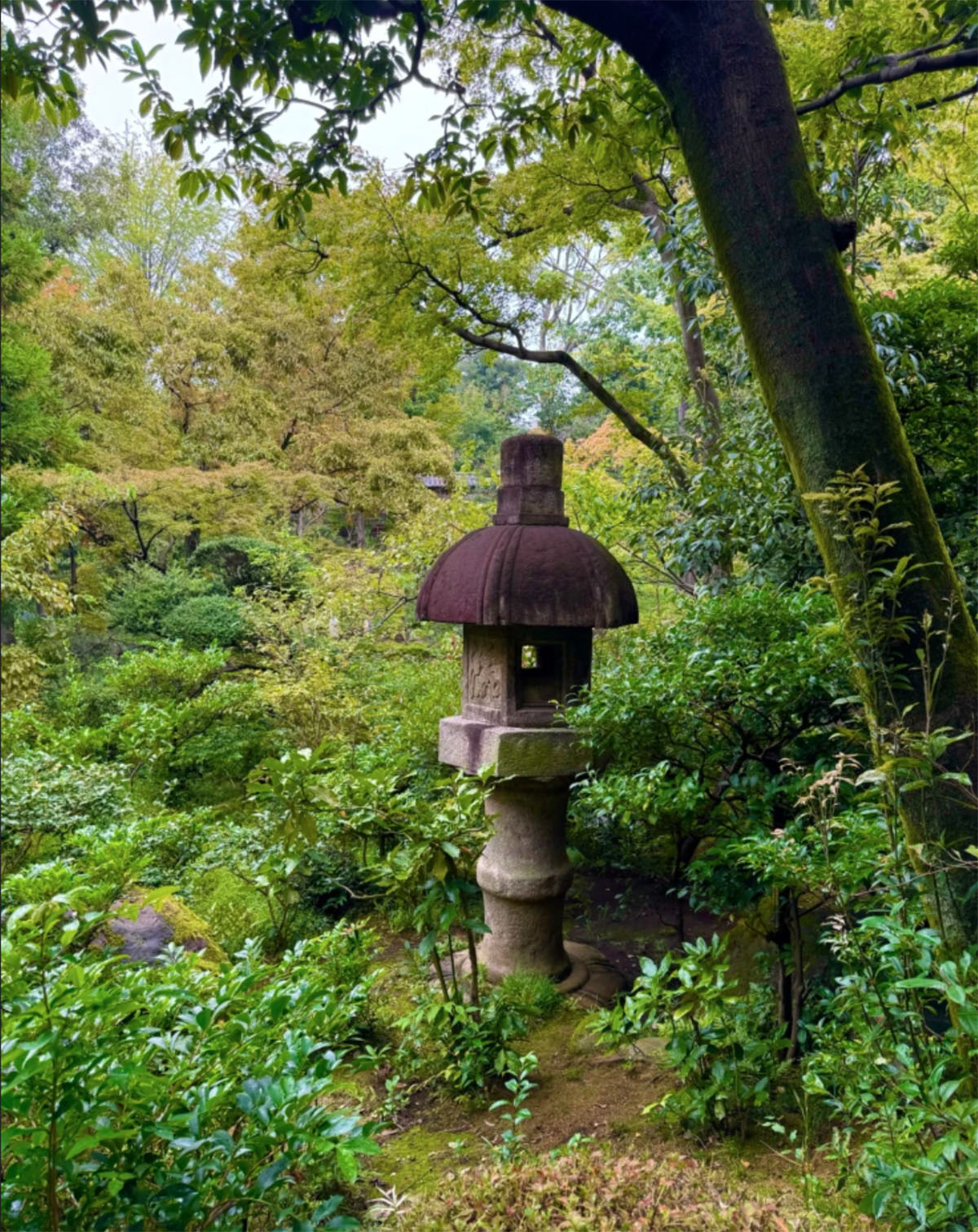 日本东京根津博物馆和花园