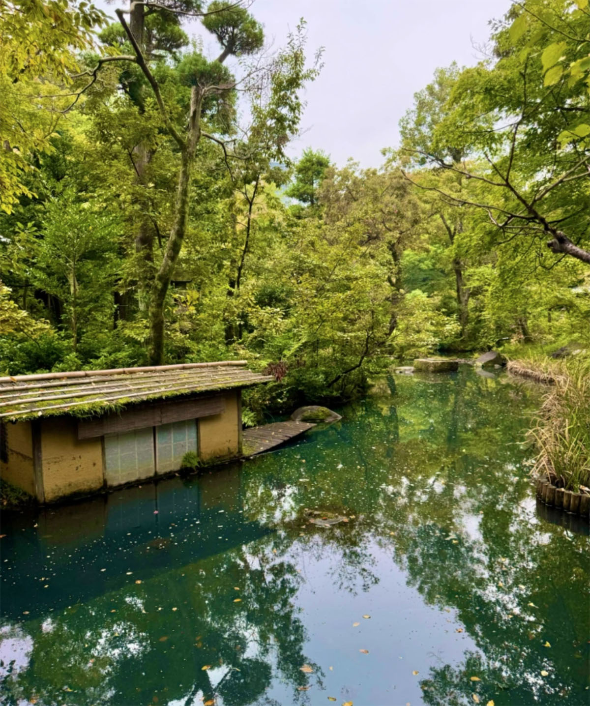 日本东京根津博物馆和花园