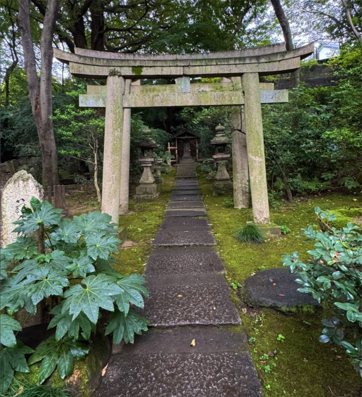 日本东京根津博物馆和花园